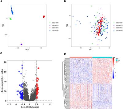 General Transcription Factor <mark class="highlighted">IIF</mark> Polypeptide 2: A Novel Therapeutic Target for Depression Identified Using an Integrated Bioinformatic Analysis